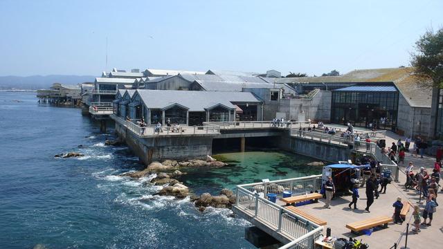 Monterey Bay Aquarium